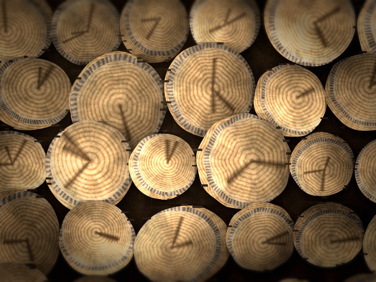 Берёзовые дрова камерной сушки